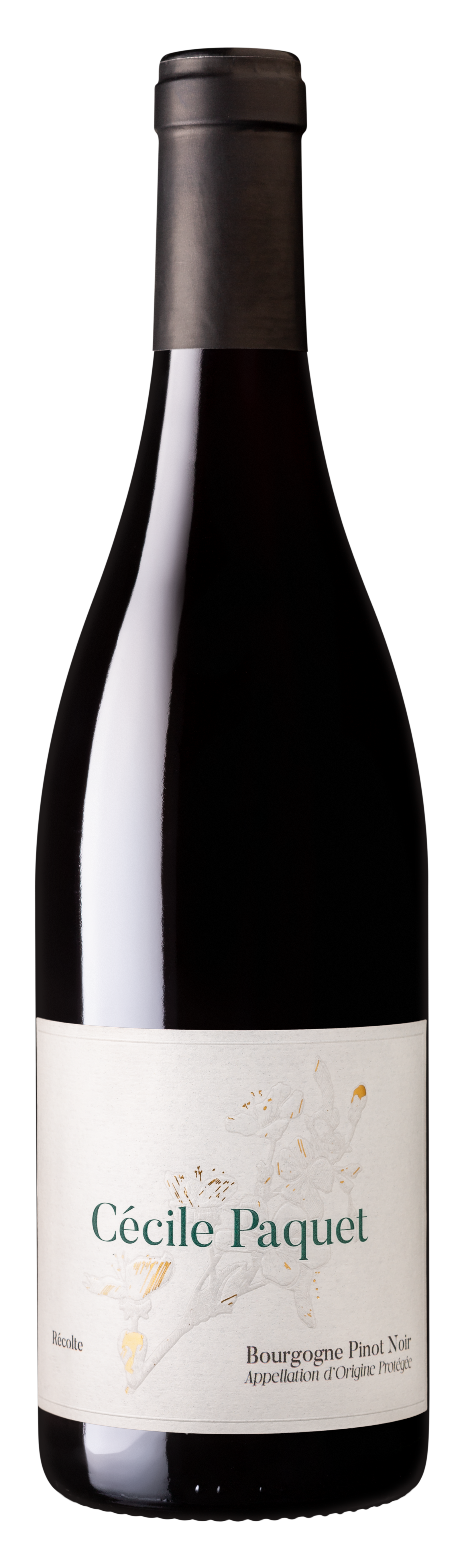 Bourgogne Pinot Noir